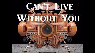 Owl City - Can&#39;t Live Without You W/Lyrics