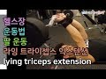바벨운동, 삼두운동, 팔운동, 라잉 트라이셉스 익스텐션(lying triceps extension)[건디ROY]