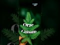 Ore Manam Ore Gunam Tamil Whatsapp Status Orae Manam Orae Gunam