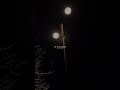 Apna Bana Le Piya WhatsApp Status Lofi Slowed Song Status Shorts Viral Trending