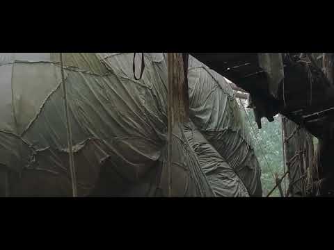 IF YOU LOVE SOMETHING LET IT GODJ AFRO QUOTE