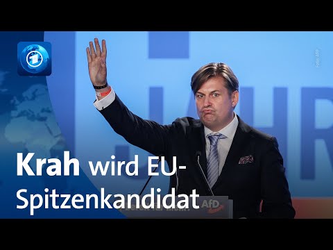 AfD: Maximilian Krah wird Spitzenkandidat für die Europawahl