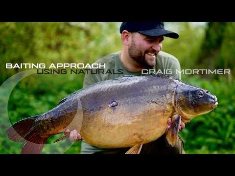 Baiting approach using naturals - Craig Mortimer