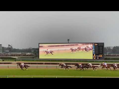 アーモンドアイ敗れる！！　2019 有馬記念G1