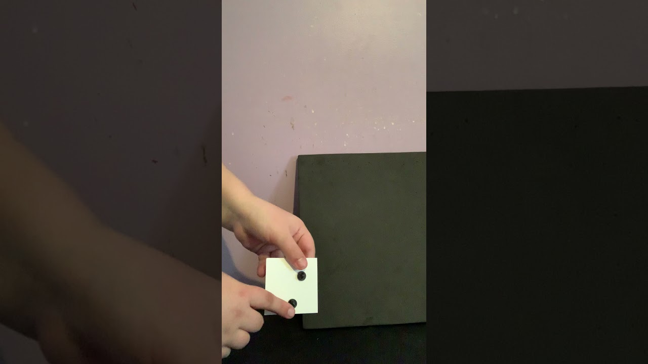 Etsy Dog Moon Pin Review