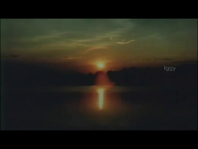 Swarnachirakulla Pakshi