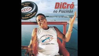 Dicro - O Bingo