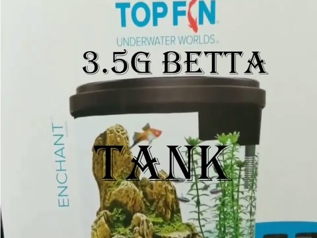 SETTING UP A BETTA FISH TANK.