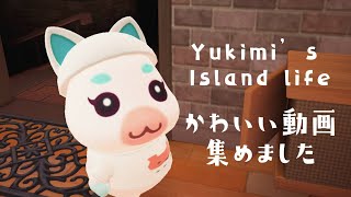 どうぶつ の 森 ゆきみ イラスト Watch Hd Mp4 Videos Download Free