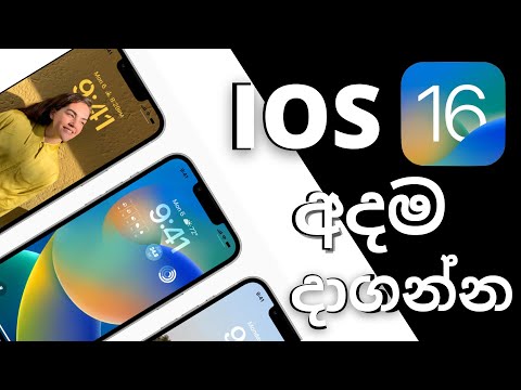 How to Update to iOS 16 - Tips Before Installing | Sinhala
