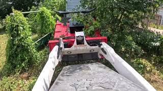 MT85 & Disc Mulcher VS Overgrown Yard