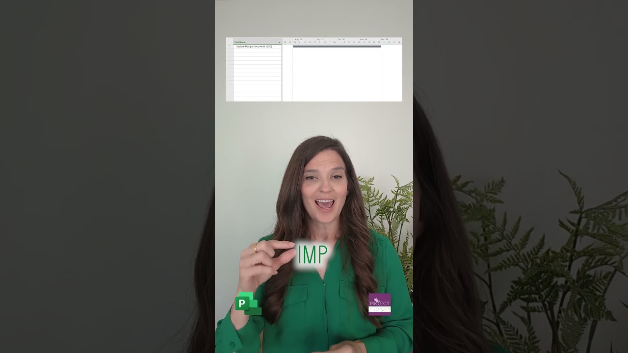 Integrated Master Schedule (IMS) - MS Project