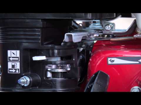 Puesta en Marcha Motobomba Dai Shin Honda