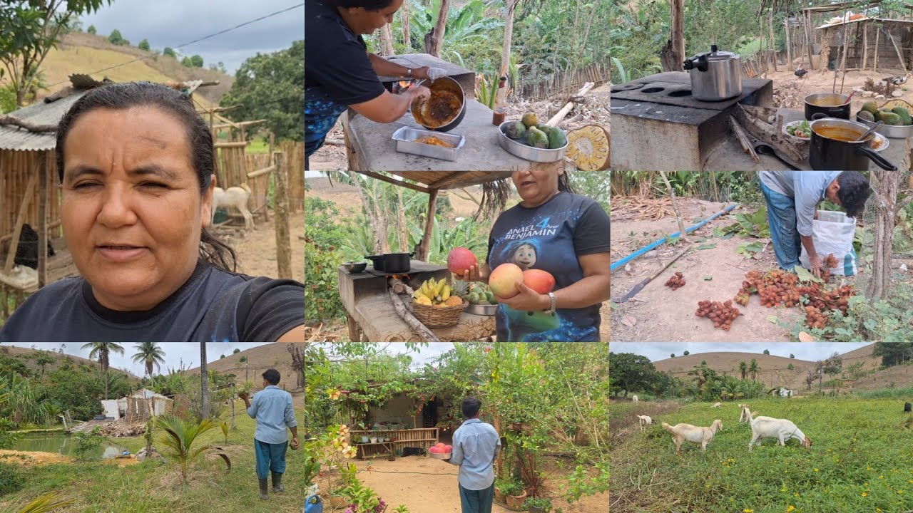 passou um vento forte aqui no sítio + almoço simples e  fiz doce de manga verde Ana Paula Alagoana