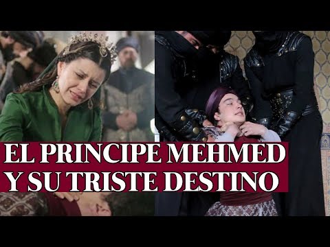 ¿Por qué MATARON AL PRINCIPE MEHMED? - Historia del imperio otomano