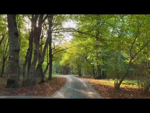 Vahid Əziz "Payız qadın"