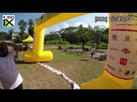 The Msog Inside Action
