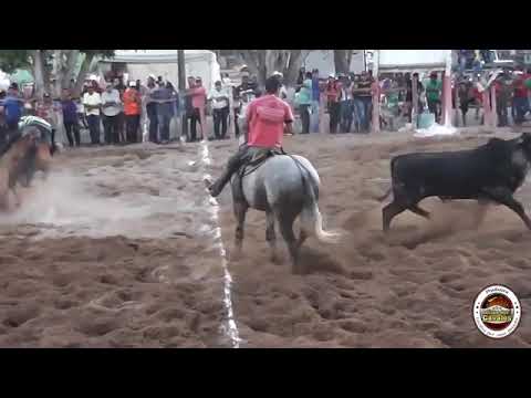 VAQUEJADA DE DIVINÓPOLIS DE GOIÁS   DISPUTA PROFISSIONAL 2016