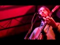 bowerbirds - beneath your tree