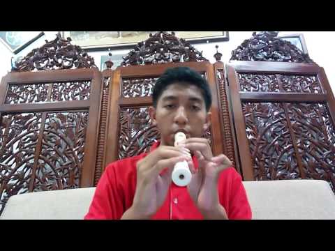 Ed Sheeran - Shape of You ( Recorder Cover )
