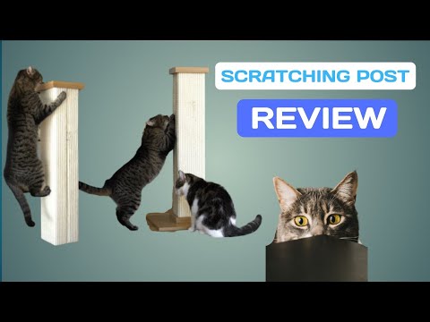 The Best [SCRATCHING POST] For Your CAT - SmartCat Ultimate REVIEW