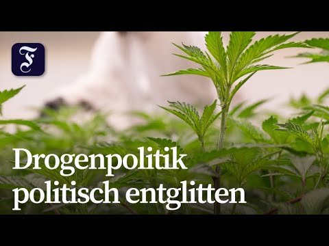 Video Thumbnail: „Ein richtiges Scheißgesetz“ – Dobrindt kritisiert Cannabis-Legalisierung