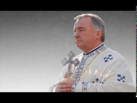 Pr. prof. univ. dr. Stelian Tofană - Muțenie și Surzenie Demonică