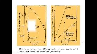 Control del CC y reparación del ADN (Parte 2) - Biología Celular y Tisular