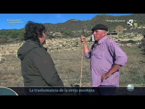 , title : 'Trashumancia ovina en Aragón, de las montañas de Hecho a los llanos de Monegros'