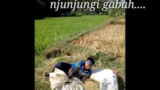 Download lagu Status wa ngarit .. Keren abiezz.... mp3