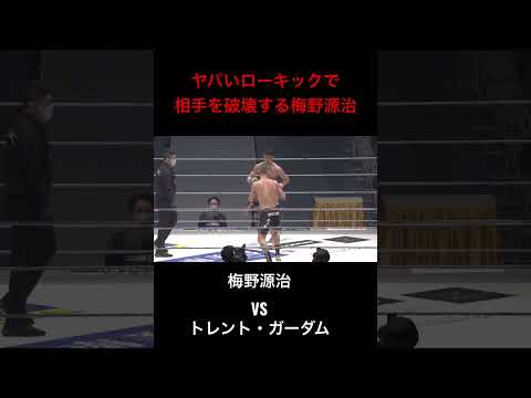 ヤバいローキックで相手を破壊する梅野源治　#RIZIN