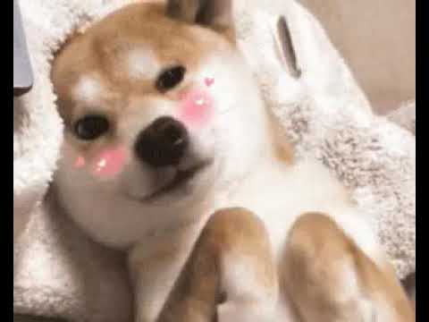 meu Instagram e mica silva.71619533