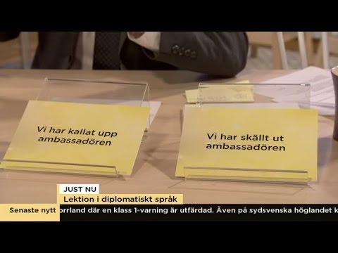 Anders Pihlblads lektion i diplomatiskt språk - Nyhetsmorgon (TV4)