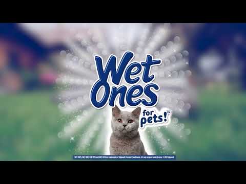 Wet Ones For Pets Cat Wipes