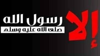 صورة الذي يسب النبي ﷺ بيننا وبينه ثأر | للشيخ الحويني