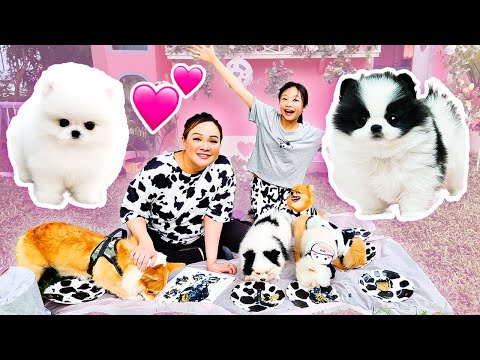 Bug & Sequin Have New Puppies! | Little Big Toys