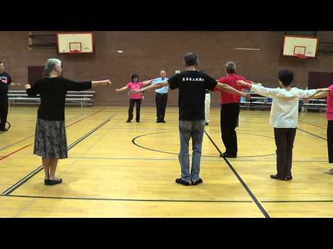 HASSAPICO MOZART Greek Circle Dance @ 2014 Seattle Folk Dance Workshop with Ira Weisburd