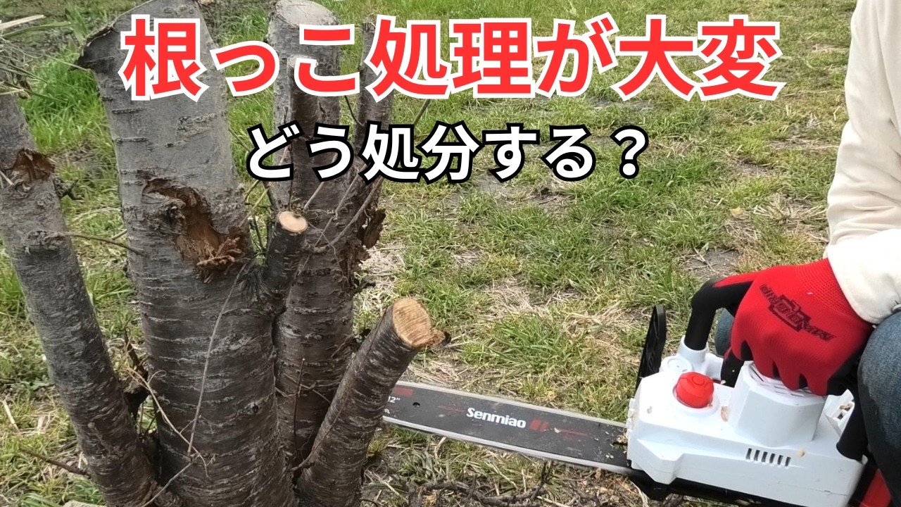 抜いた木の根っこ、どう捨てる？農家が電動工具で刻んでみた（2026.3.28）