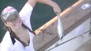 preview picture of video 'Purple Jet Fishing Charters Light Tackle Bonito Action'