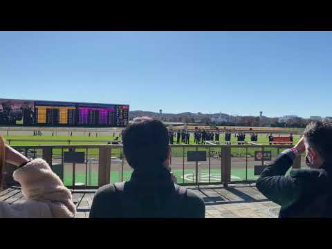 2021年11月28日  第41回ジャパンカップ（G1）東京競馬場#2  お昼の演奏会　キングオブターフ/陸上自衛隊中央音楽隊