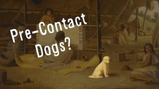 What Happened to the Pre-Contact Dogs?