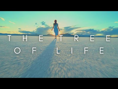 The Beauty Of The Tree Of Life