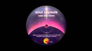 Soul Capsule - New Day Dawn [Trelik recordings]