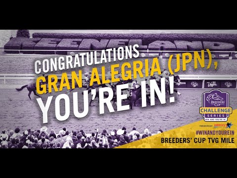 2020 Challenge Series: Gran Alegria - Yasuda Kinen