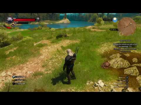 The Witcher 3: Flying Centipede