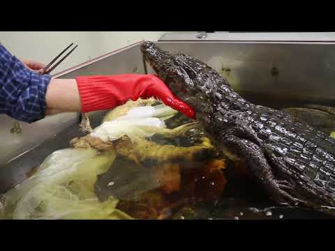 University Of Florida Herpetology Program: Detailed Login Instructions| LoginNote