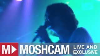 Animal Collective - Who Could Win A Rabbit | Live in Sydney | Moshcam