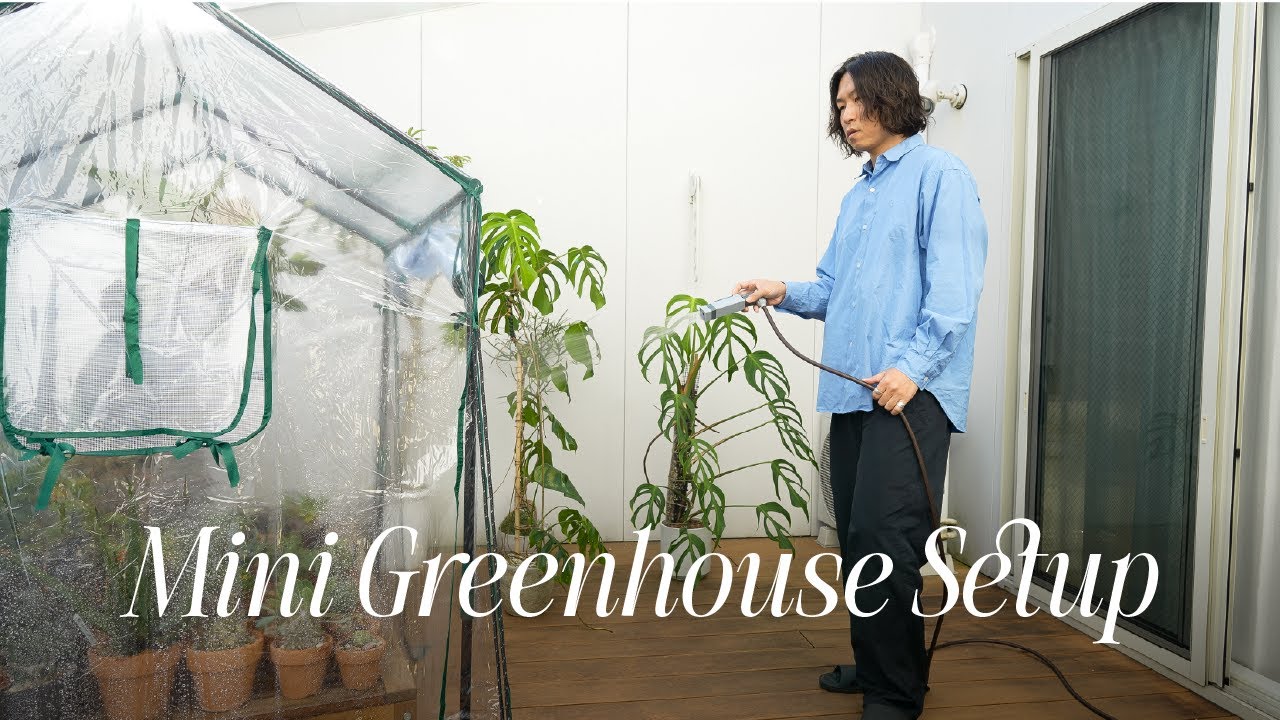 簡易温室をバルコニーに設置してみた｜今から始める植物の冬越し準備と対策