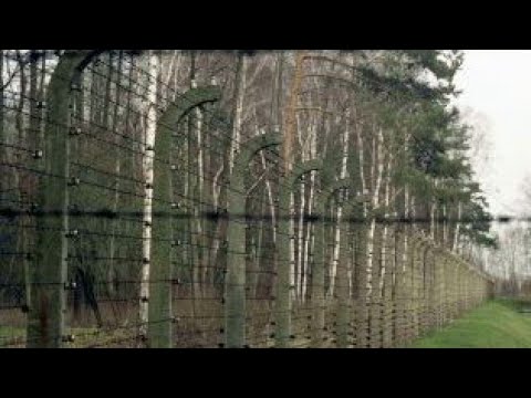 Sonderkommando Auschwitz-Birkenau Dokumentation(Doku in voller Länge komplett in Deutsch)