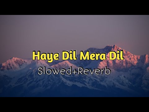 Haye Dil Mera Dil | Dil Ka Rishta | Kumar Sanu,Alka Yagnik | Slowed And Reverb | Akash Lofi Music